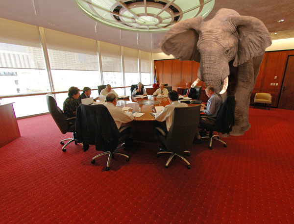 Elephant in the Room